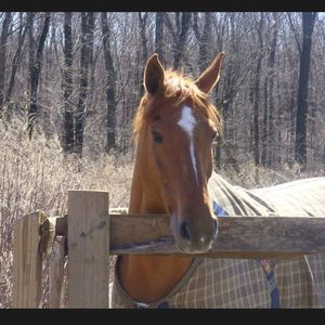 Meet your Posher, Cindi